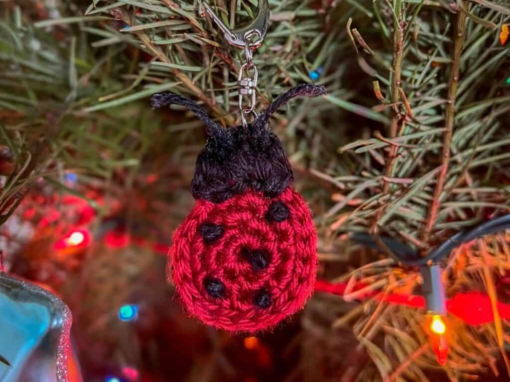 crochet ladybug flat